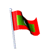 Maldives flag
