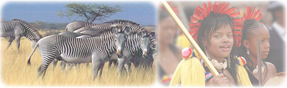 Africanos