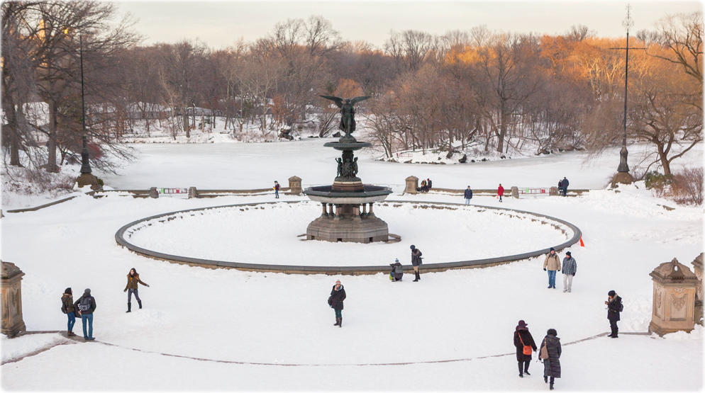 Central Park inverno
