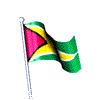Guyana flag