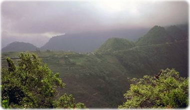 Butao