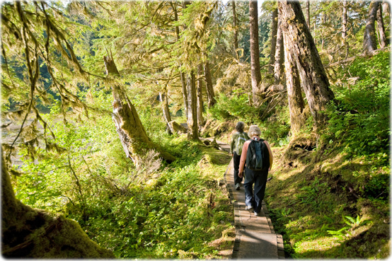 Floresta Alaska