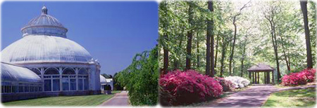 Jardim Botanico