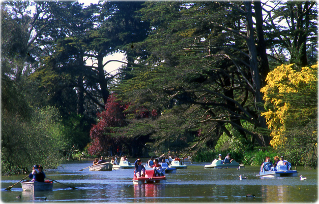 Parque