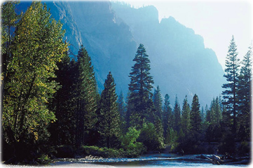Yosemite National Park