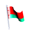 Belarus Flag