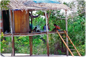 Amazonia